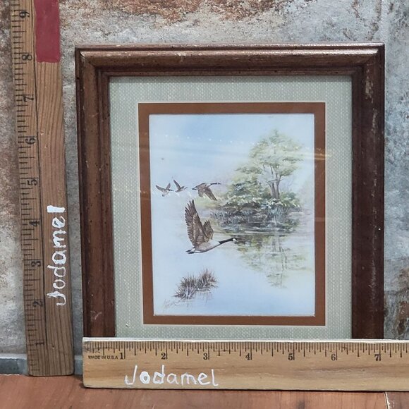 Framed Wildlife Print Duck Geese Water Artist Signed Anni Moller 1968 Wall Art - Picture 8 of 12
